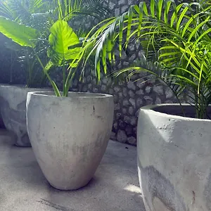 Bau 4* Tulum